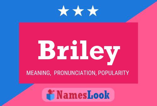 Briley Namensposter