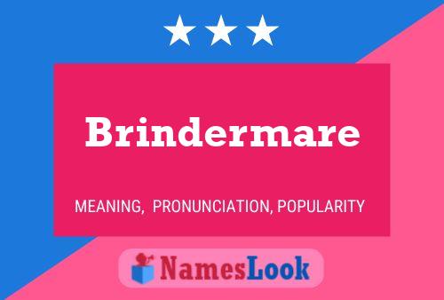 Brindermare Namensposter