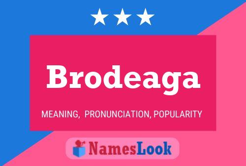 Brodeaga Namensposter