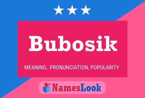 Bubosik Namensposter