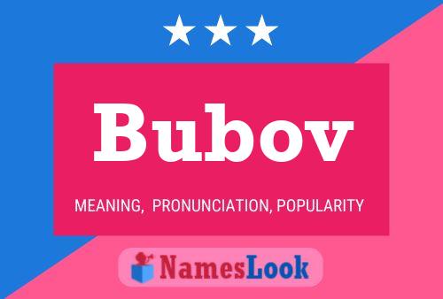 Bubov Namensposter