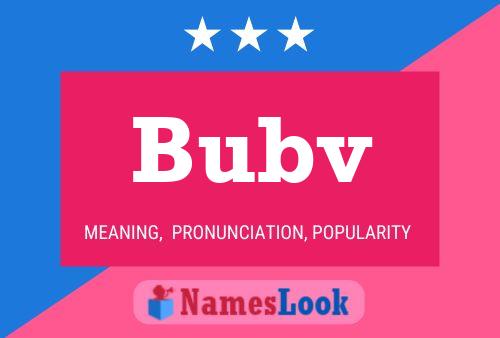 Bubv Namensposter