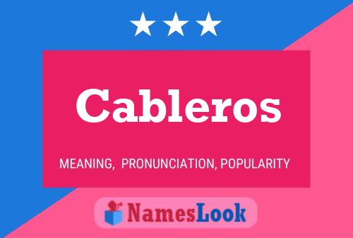 Cableros Namensposter