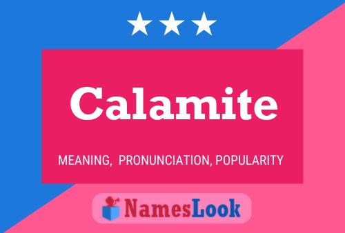 Calamite Namensposter