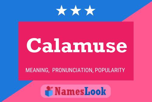 Calamuse Namensposter