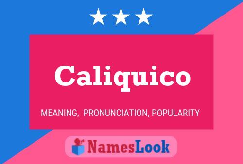 Caliquico Namensposter