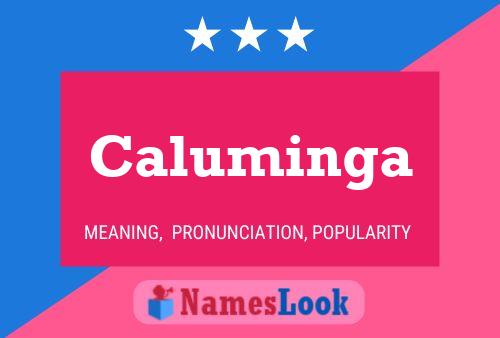 Caluminga Namensposter