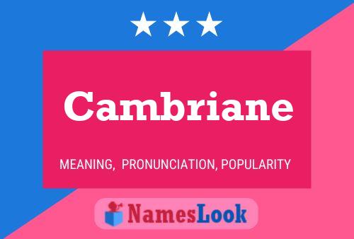 Cambriane Namensposter