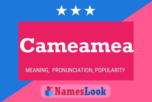 Cameamea Namensposter