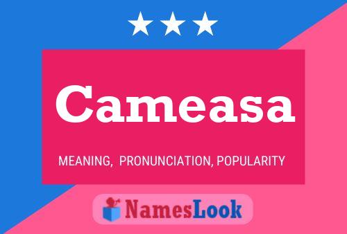 Cameasa Namensposter