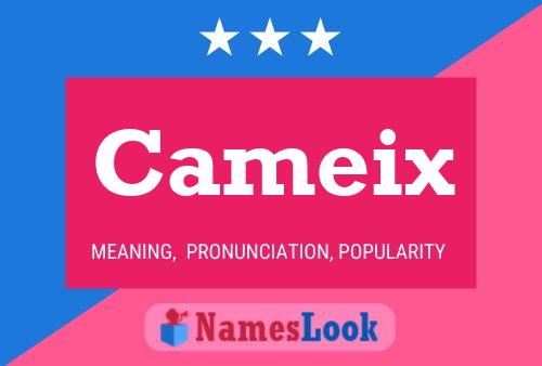 Cameix Namensposter