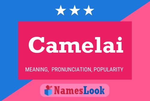 Camelai Namensposter