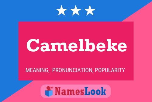 Camelbeke Namensposter