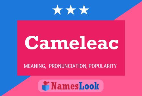 Cameleac Namensposter