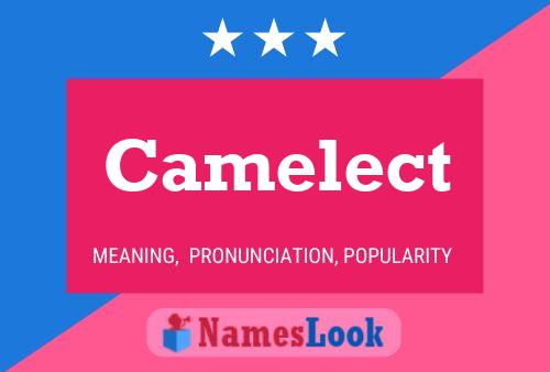 Camelect Namensposter