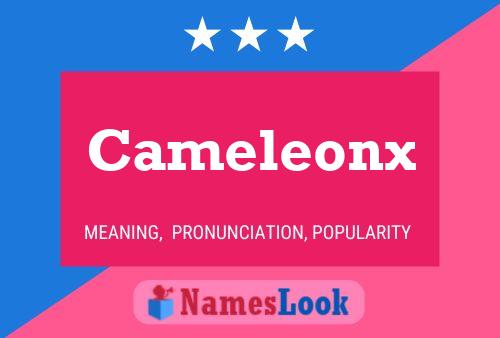 Cameleonx Namensposter