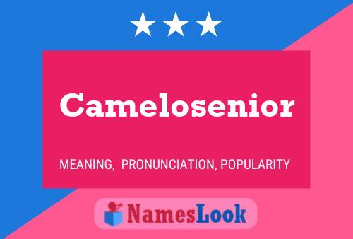 Camelosenior Namensposter