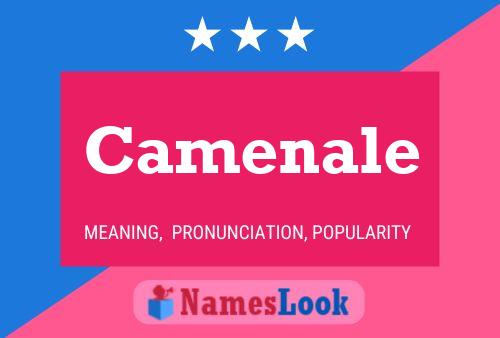 Camenale Namensposter