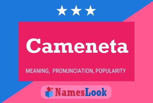 Cameneta Namensposter