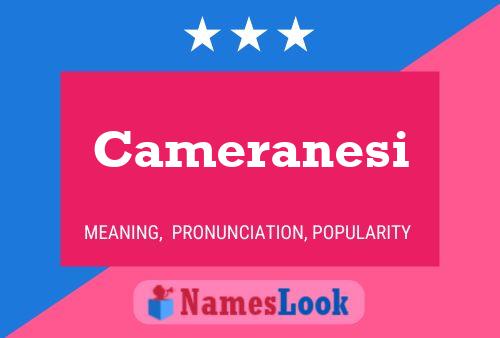 Cameranesi Namensposter