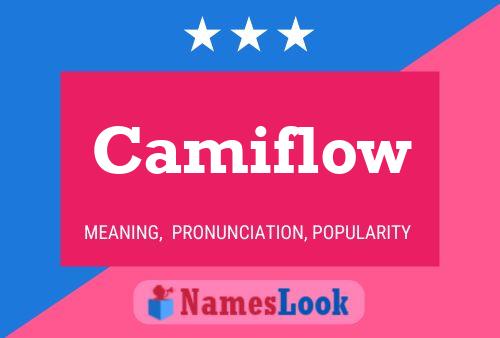 Camiflow Namensposter