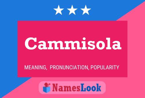 Cammisola Namensposter