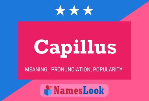 Capillus Namensposter