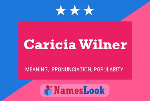 Caricia Wilner Namensposter