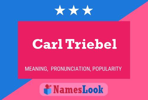 Carl Triebel Namensposter