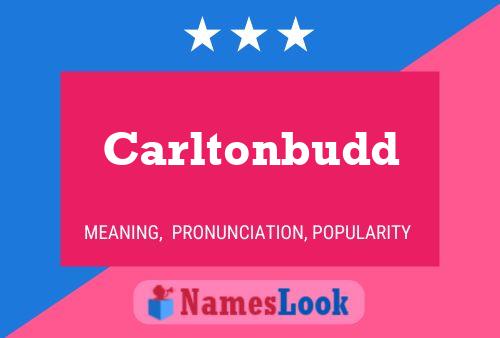 Carltonbudd Namensposter