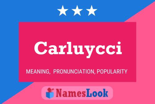 Carluycci Namensposter