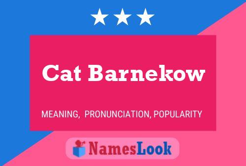 Cat Barnekow Namensposter