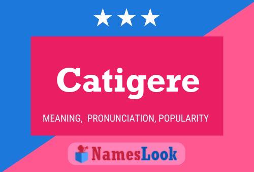 Catigere Namensposter