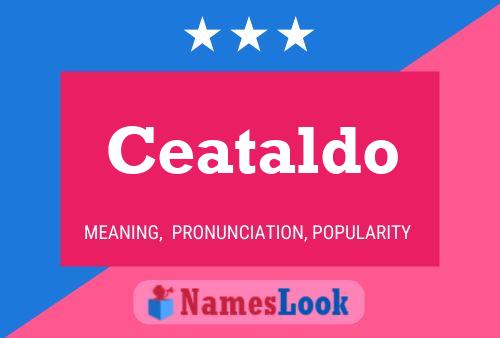 Ceataldo Namensposter