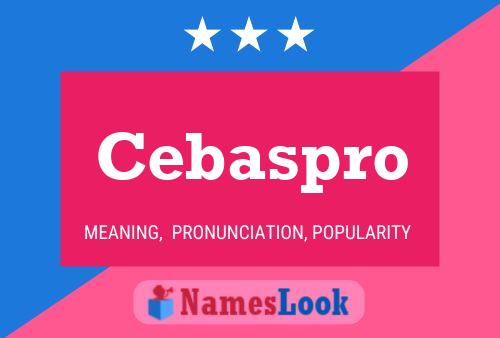 Cebaspro Namensposter