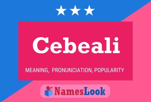 Cebeali Namensposter