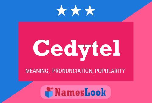 Cedytel Namensposter