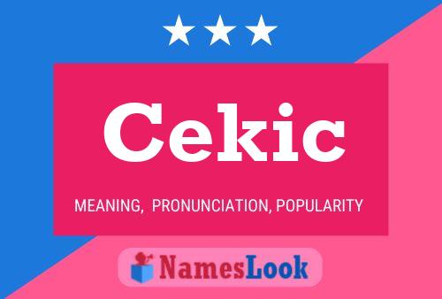 Cekic Namensposter