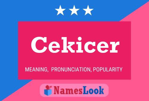 Cekicer Namensposter