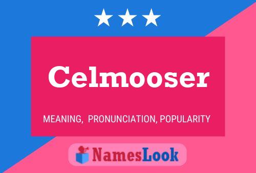 Celmooser Namensposter