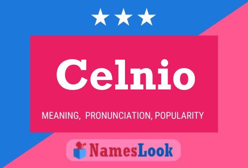 Celnio Namensposter