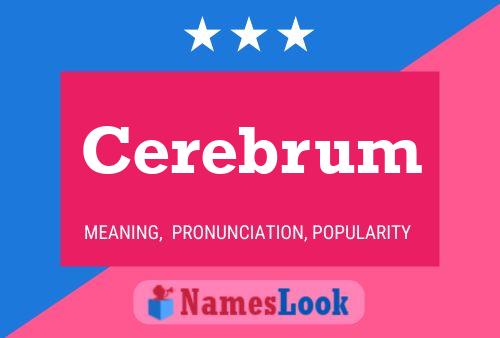 Cerebrum Namensposter