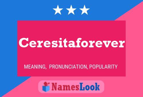 Ceresitaforever Namensposter