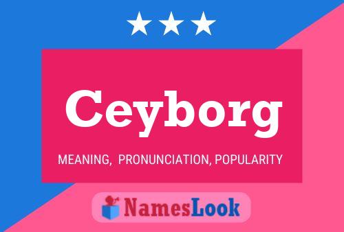 Ceyborg Namensposter