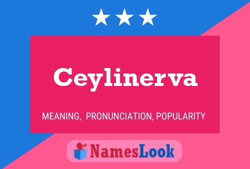 Ceylinerva Namensposter