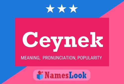 Ceynek Namensposter