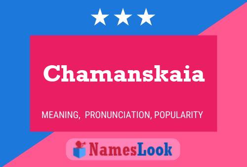 Chamanskaia Namensposter