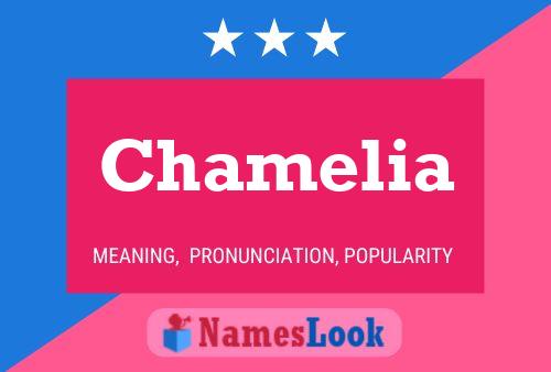 Chamelia Namensposter