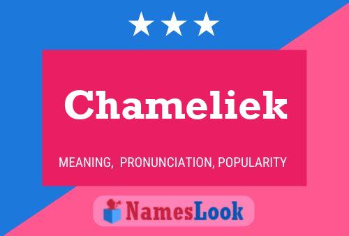 Chameliek Namensposter