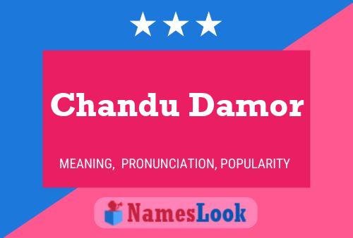 Chandu Damor Namensposter